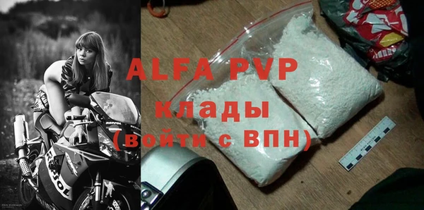 прущие грибы Заволжск