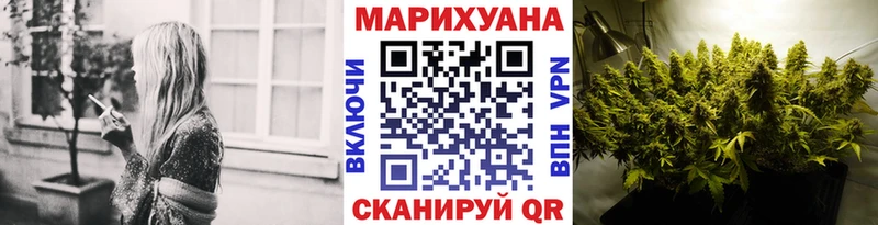 Купить где  Буй  Марихуана семена 